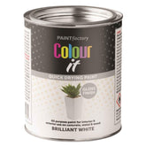 Paint Factory Brilliant White Gloss Tin Paint 300ml Tin Paint